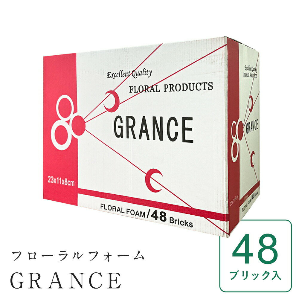 オアシス <strong>フローラルフォーム</strong> Floral Water Block Delix-48 1ブリック：W23xD11xH8cm 1ケース 48個入 送料無料 沖縄不可 フラワーアレンジ フラワーアレンジメント 花資材 華道