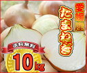 【送料無料】【愛媛産】玉ねぎ　10k 【2sp_120810_green】