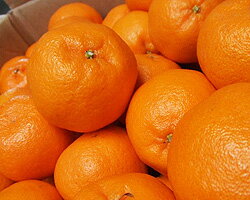 ߤ󲦹ɲδŤơ⤤ݥ󥫥Ǥ̵Τ㤤ߤ̣Ф򤼤Ҥ̵۰ɲݥ󥫥