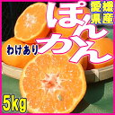 【送料無料】愛媛県産 訳ありポンカン 5 kg 【西宇和産・宇和島産 みかん・ぽんかん】