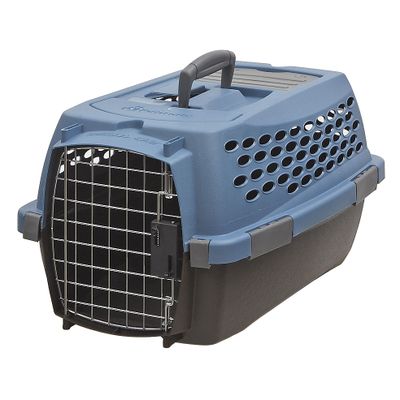 SALEۥͥ륭Sեåʥ֥롼ܥ֥饦ˡڥۡ23%OFF05P04oct10