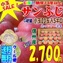 【クール便】【送料無料】【CA貯蔵】糖度13度以上