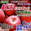 【予約】【送料無料】長野県産 紅玉(こうぎょく)