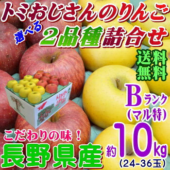 【送料無料】長野県産 トミおじさんのりんご！お好きな2品種詰合せ　Bランク（一般用）約10kg（28-36玉）長寿の国！信州が贈るフレッシュりんご！【サンふじ・シナノゴールド】