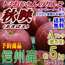 【予約】【送料無料】長野県産 秋映 Aランク(贈答用)約5kg(12-18玉)甘味と酸味のバランスが良い信州オリジナルりんご!★