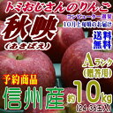 【予約】【送料無料】長野県産 秋映 Aランク(贈答用)約10kg(24-36玉)甘味と酸味のバランスが良い信州オリジナルりんご!★