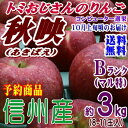 【予約】【送料無料】長野県産 秋映 Bランク(マル特)約3kg(8-11玉)甘味と酸味のバランスが良い信州オリジナルりんご!★
