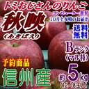【予約】【送料無料】長野県産 秋映 Bランク(マル特)約5kg(12-18玉)甘味と酸味のバランスが良い信州オリジナルりんご!★