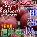 【予約】【送料無料】長野県産 秋映 Cランク(家庭用)約10kg(24-36玉)訳あり(キズ、色ムラなど)甘味と酸味のバランスが良い信州オリジナルりんご!★