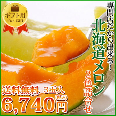 【送料無料】赤・青Mサイズ3玉詰【1玉約1.3kg〜】(赤肉2玉＋青肉1玉)2つの味が1箱…...:tomita-m:10000099