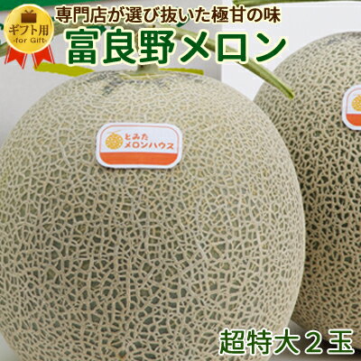  500~OFFN[|I  xǖ상 2ʓ[2ʖ4.6kg]  7{蔭Jn   p Gi xǖ ӂ̃ 䒆    j Mtg j Ԃ t[c 