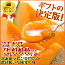 【送料無料】専門店の極上富良野メロン大玉Lサイズ1玉詰【1玉約1.6kg?】【楽ギフ_のし】【楽ギフ_メッセ】10P24jul13