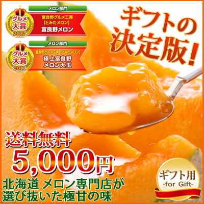 2011・2012年★グルメ大賞2年連続受賞★【送料無料】専門店の極上富良野メロン大玉Lサイズ2玉入【1玉約1.6kg?】 【楽ギフ_のし】【楽ギフ_メッセ】10P24jul13
