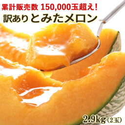 訳あり とみたメロン 約2.9kg［2玉入］送料無料 北海道産（富良野メロン、他）ハネメロン 果物 赤肉 メロン フルーツ くだもの お取り寄せグルメ 家庭用 食べ物 食品 <strong>ワケあり</strong>