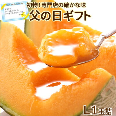 父の日 富良野メロン L1玉詰（約1.6kg） 送料無料 メロン 初物 6月出荷！朝もぎ発送”じゅわぁ〜っ”と滴る果汁♪ プレゼント 赤肉メロン 果物 フルーツ ギフト