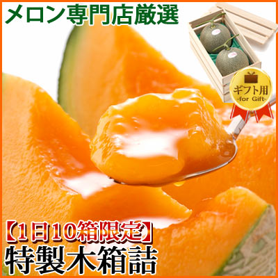 【1日10箱限定】高級木箱入！2玉詰特製木箱【1玉約1.6kg〜】専門店の絶品富良野メロン♪10P2Aug12【SBZcou1208】贈り物はこれで決まり！限定の木箱に入った富良野メロン♪“じゅわ〜っ”ととろける極甘メロン！大切な人やギフトにもってこいのオススメの一品！