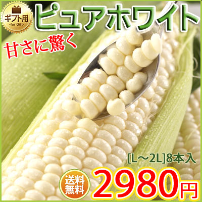 ̵ۥ¤ߤ˴Ťáԥ奢ۥ磻ȡī⤮¨ȯǿ...