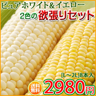 ̵ۥԥ奢ۥ磻ȡ2ĥꥻåȡ٥Ȥεˤο...