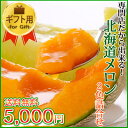 【送料無料】1箱で2度美味しい！赤・青大玉Lサイズ2玉【1玉 約1.6kg〜】詰合せ内容はお好みでチョイス♪10P2Aug12【SBZcou1208】