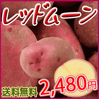 【送料無料】赤いじゃがいもレッドムーン5kg　最高のじゃがバターが出来ます！