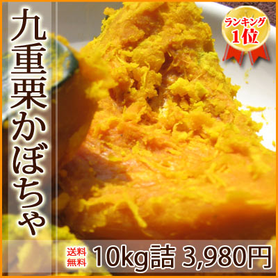 【送料無料】リピート率抜群！■北海道富良野産【九重栗かぼちゃ】約10kg詰[4〜7玉入]メロン農家が作る栗みたいなホクホクかぼちゃ♪生産者の自信作！お得用10kg詰★10P23Jul12