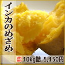 【送料無料】幻のじゃがいも【インカのめざめ】10kg詰たっぷり入ってこの価格!北海道貴重な秋の味覚♪素材の旨さ100% 北海道幕別産!☆【RCP】05P25Oct14