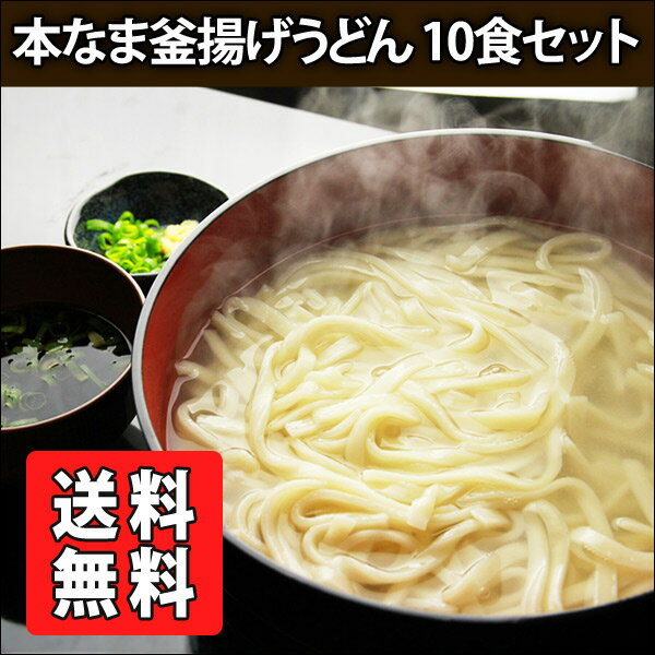 本なま釜揚げうどん 10食セット つゆ付 送料無料業務用 父の日...:tomono-namamen:10000071