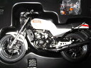 Wit's W 667 1/12 RZ250 ニューパールホワイト