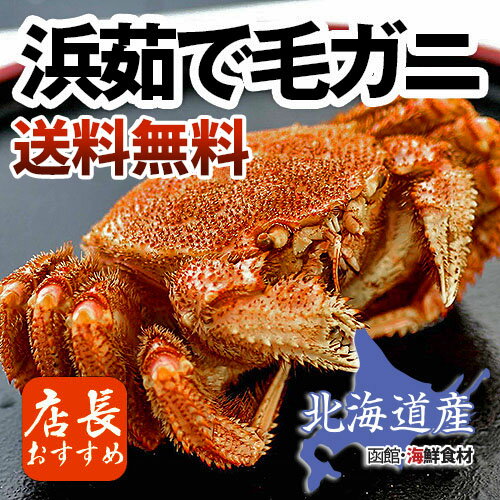 【送料無料】北海道産ボイル毛がに【300g以上×3尾】【かに】【カニ】【蟹】【毛がに】【北…...:tonami211:10000197