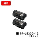 NEC トナーカートリッジ PR-L5300-12お買い得2本セット【純正品】【翌営業日出荷】【送料無料】【MultiWriter 5300】【SALE】