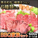 バーベキュー家族セット 600g (2〜3人前) 選べる1品 塩 タレ 付き A5ランク 国産 黒毛和牛 カルビ ロース 極厚牛タン 豚ロース 鶏もも 特選焼肉セット 600g 人気 おすすめ 極厚牛タン BBQ 牛肉 タン 豚肉 鶏肉 やきにく豚海