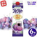 OYAMA 雄山 NPNF プルグルト プルーン果実100%飲料 1000ml 【6本セット】 送料無料