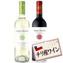 ティエラヌエバ 赤ワイン＆白ワイン セット 【セット割引】