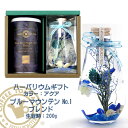 コーヒー & ハーバリウムギフト ブルーマウンテンNo.1ブレンド 生豆時200g アクアブルー HB-AQ