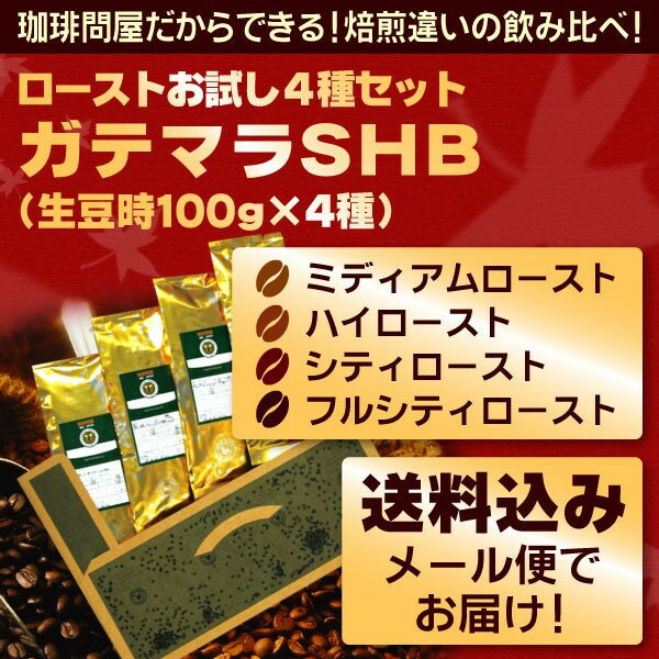 【メール便・配達日時指定不可】 ガテマラローストお試し4種メール便 （解説付）...:tonya:10002349