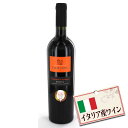 イタリア産ワイン サンジョヴェーゼ ディロマーニャ リゼルヴァ 2013 750ml