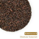 【限定品】2020年クオリティーシーズン ディンブラ サマセット茶園(50g) BOP / 紅茶 ブラックティー Somerset