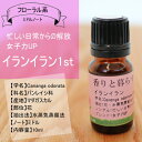 イランイラン 10ml イランイランオイル アロマ アロマオ...