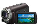 SONY HDR-CX370V(T)　◆送料無料 ◆あす楽対応