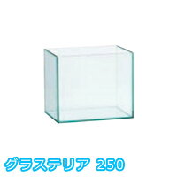 グラステリア250