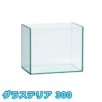 グラステリア300