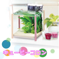 キュービーコロン ピンク 水槽セット