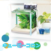 キュービーコロン ブルー 水槽セット
