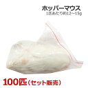冷凍 ホッパーマウス 100匹