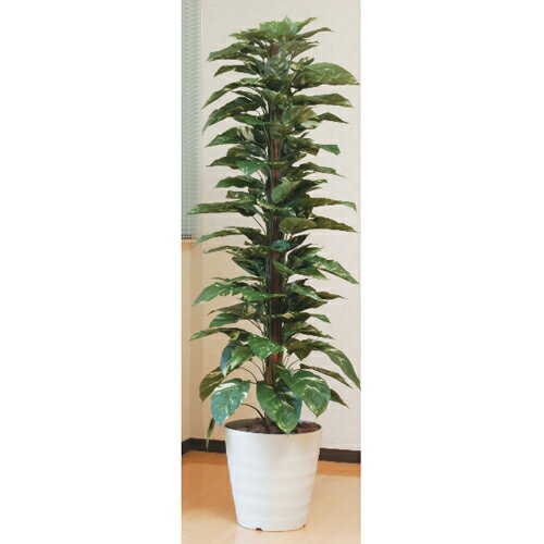 ޤο͹տʪC3706-350(A4106-350)㥤ȥݥȥ(ȭդ)