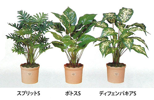 ޤο͹տʪ̵C4704-30(A5013-30)ݥȥS(ȭդ)