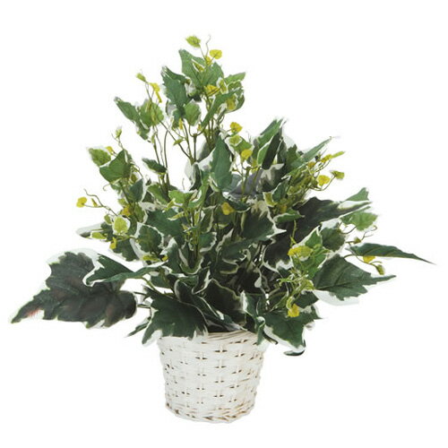 光触媒の人工観葉植物！【送料無料】C4614-40　班入りアイビー　ホワイトバスケット観葉植物　造花　光触媒