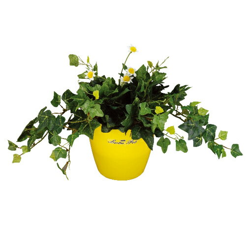 ޤο͹տʪ̵C4713-30ӡߡտʪ¤֡