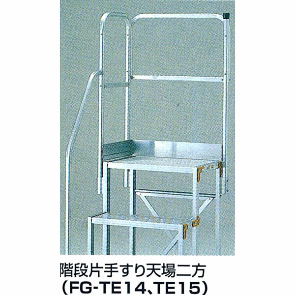 ץⰦѡԥꤹFGѥץѡFG-TE(FG-TE14)