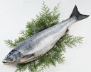 【送料無料】[北海道産]天然新巻鮭【秋鮭】（約2.0kg）